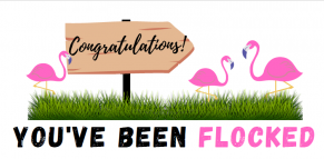 Congratulations You've been flocked
